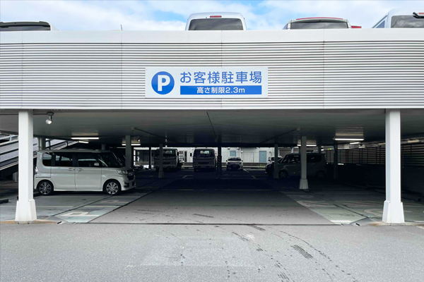 入口